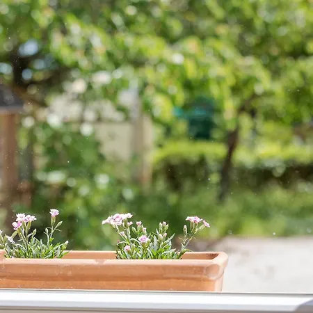 Primavera Holiday home