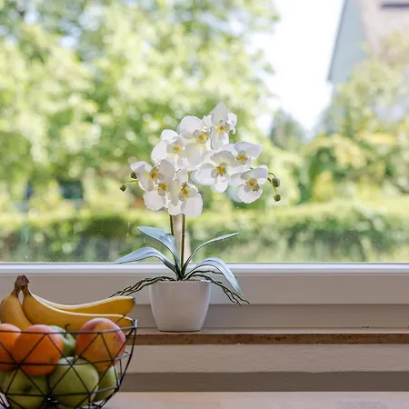 Primavera